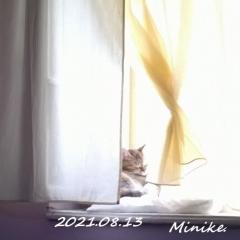 Minike