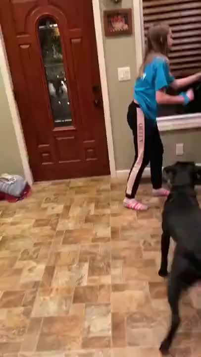 Dog Goes Crazy For Treats